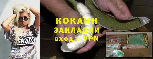 твердый Козловка