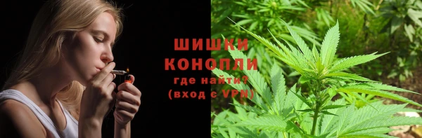 гашик Корсаков
