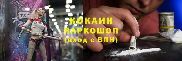 гашик Корсаков