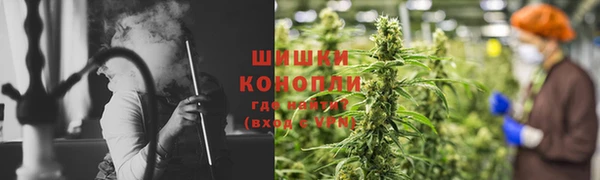 ПСИЛОЦИБИНОВЫЕ ГРИБЫ Александровское