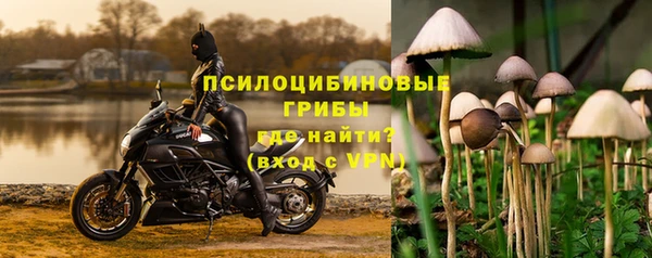гашик Корсаков