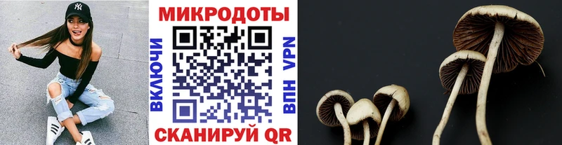 Псилоцибиновые грибы Cubensis  Королёв 